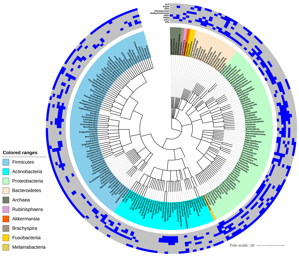 qshgm-a-database-of-qs-in-human-gut-microbiota